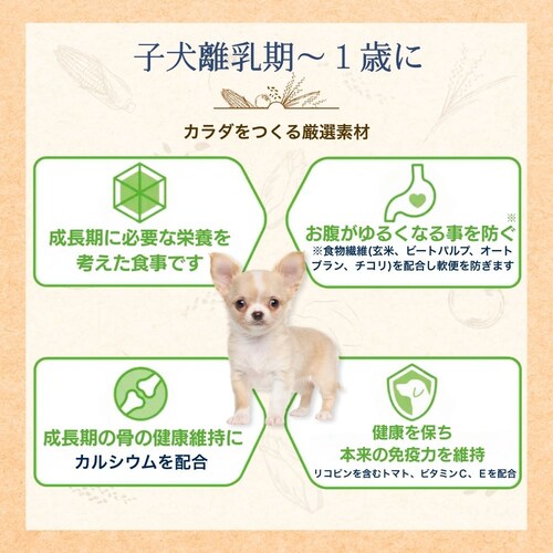 ファーストチョイス ChoiceS 子犬離乳期〜1歳に 2.4kg(600g×4)_5
