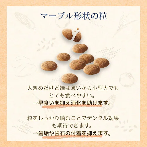 ファーストチョイス ChoiceS ダイエットしたい子に高齢犬7歳以上 2.2kg(550g×4)_4