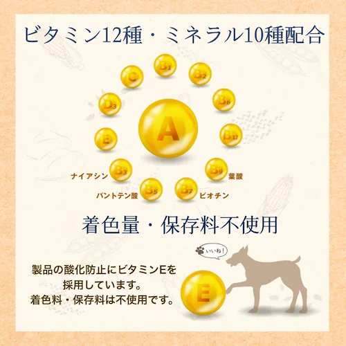 ファーストチョイス ChoiceS 食わずぎらいの子に成犬1歳以上 2.4kg(600g×4)_9
