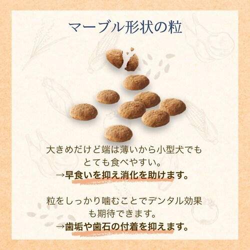 ファーストチョイス ChoiceS お肉が好きな子にラム成犬1歳以上 2.4kg(600g×4)_4