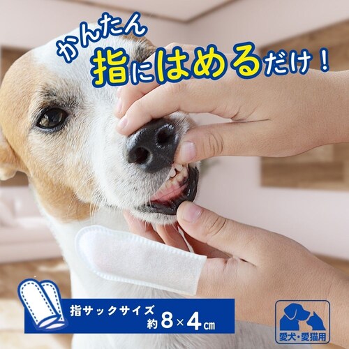 �G�u���f���g �G�u���f���g �w�T�b�N�������݂���_1