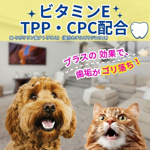 エブリデント エブリデント 指サックde歯みがきプラス 35枚_2