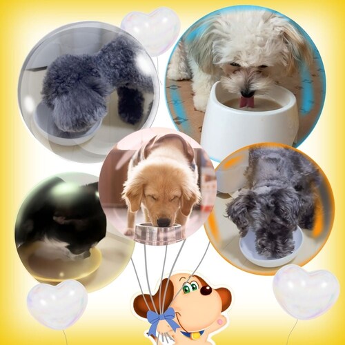 わんわんカロリー わんわんカロリー パワー 幼犬、成犬用 275mL_4