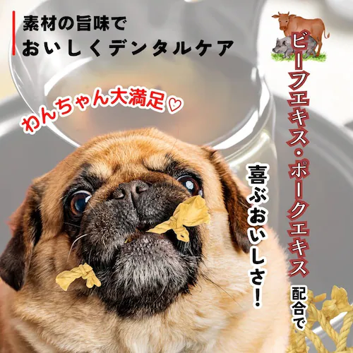 アース・ペット 食べられる 歯みがきロープ愛犬用S 5本_2