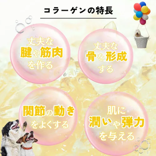 アース・ペット 食べられる 歯みがきロープ愛犬用S 5本_3