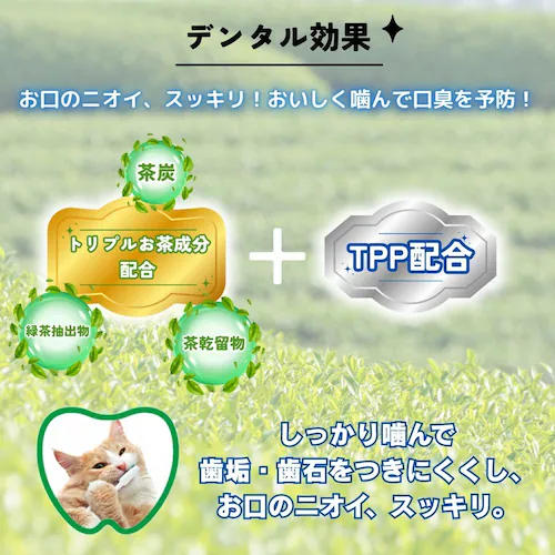アース・ペット 食べられる 歯みがきロープ ややかため 愛猫用_1