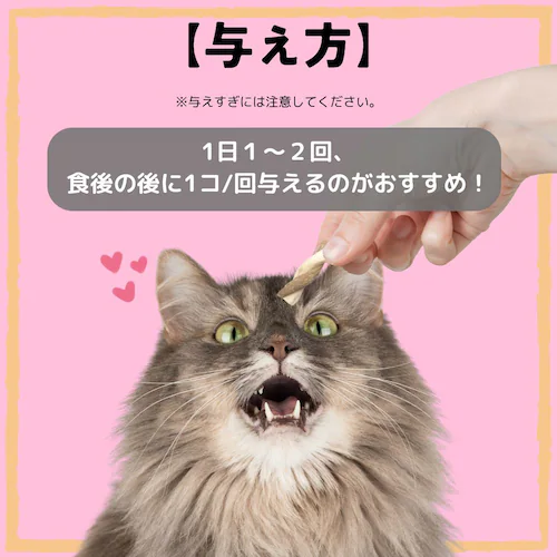 アース・ペット 食べられる 歯みがきロープ ややかため 愛猫用_3