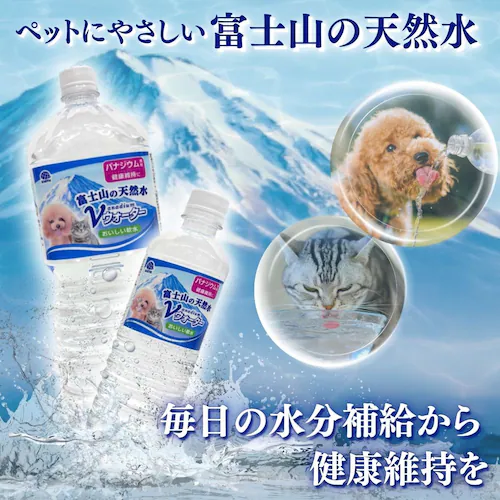Vウォーター 天然水 Vウォーター 500mL_1