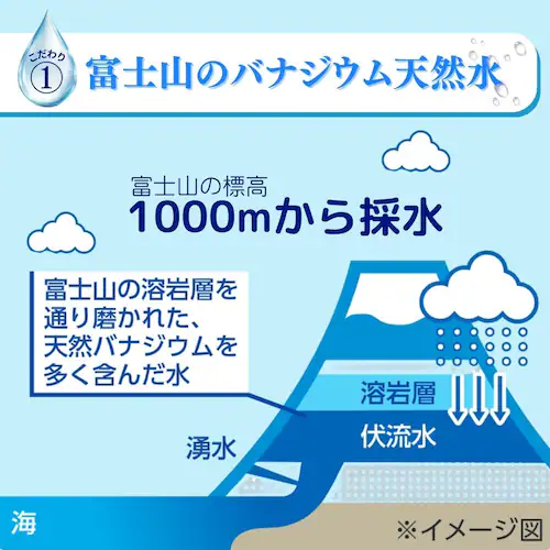Vウォーター 天然水 Vウォーター 500mL_2