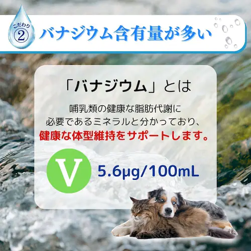 Vウォーター 天然水 Vウォーター 500mL_3