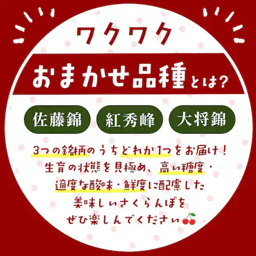 山形県産さくらんぼ 約500gバラ詰め 秀品L 【時間指定不可】【代引不可】【同梱不可】_2