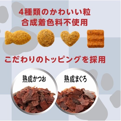懐石 2つのごほうび 毛玉に配慮_3