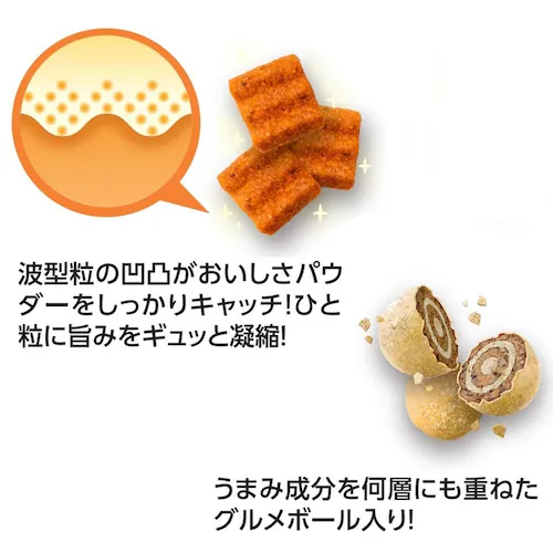 懐石ごほうび チーズ仕立て_1