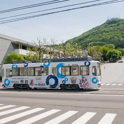 布目 本数の子黄金松前 800g 【時間指定不可】【代引不可】【同梱不可】_7
