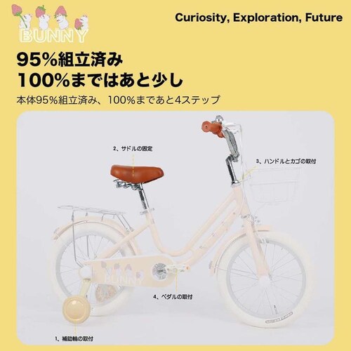 ACEXIS 【完成車】ACEXIS子供自転車 BUNNY 16インチ ピンク【時間指定不可】【代引不可】【同梱不可】_9