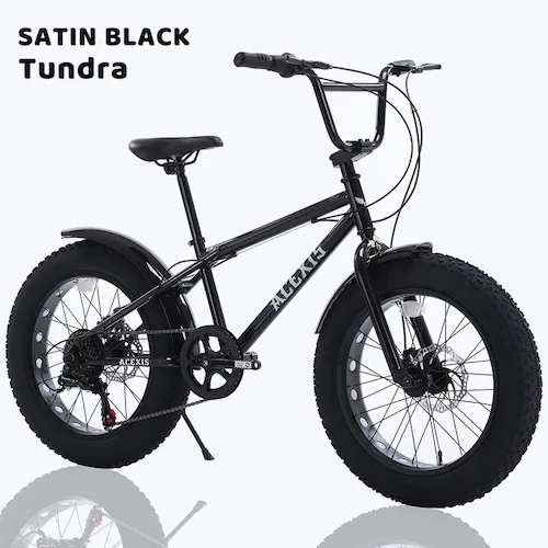 ACEXIS 【完成車】ACEXISファットバイク TUNDRA ブラック【時間指定不可】【代引不可】【同梱不可】_1