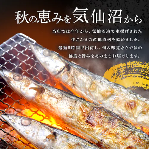とれどき三陸三陸・気仙沼産 生さんま10尾 【時間指定不可】【代引不可】【同梱不可】_1
