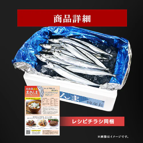 とれどき三陸三陸・気仙沼産 生さんま10尾 【時間指定不可】【代引不可】【同梱不可】_3