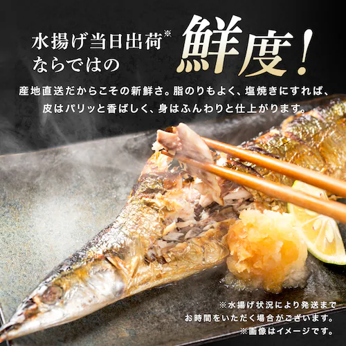 とれどき三陸三陸・気仙沼産 生さんま10尾 【時間指定不可】【代引不可】【同梱不可】_6