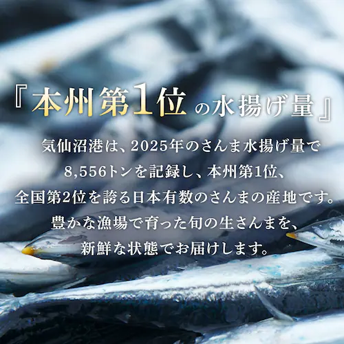 とれどき三陸三陸・気仙沼産 生さんま10尾 【時間指定不可】【代引不可】【同梱不可】_7