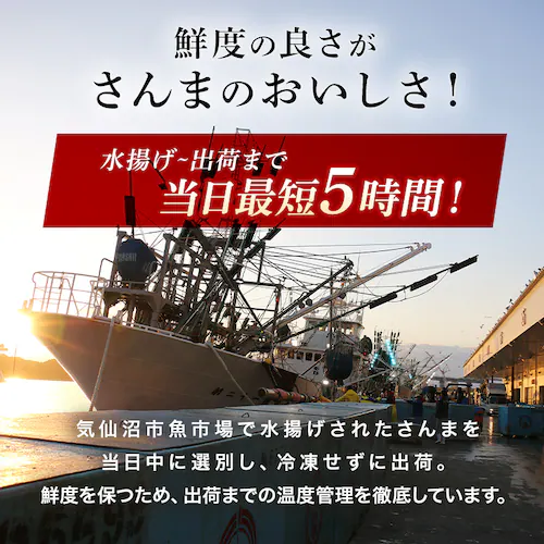 とれどき三陸三陸・気仙沼産 生さんま10尾 【時間指定不可】【代引不可】【同梱不可】_9