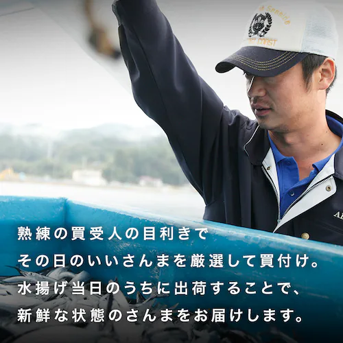 とれどき三陸三陸・気仙沼産 生さんま10尾 【時間指定不可】【代引不可】【同梱不可】_10