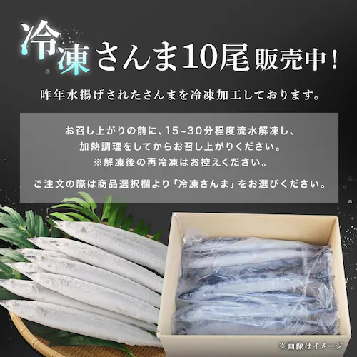 とれどき 三陸・気仙沼産 生さんま大8尾 【時間指定不可】【代引不可】【同梱不可】_14