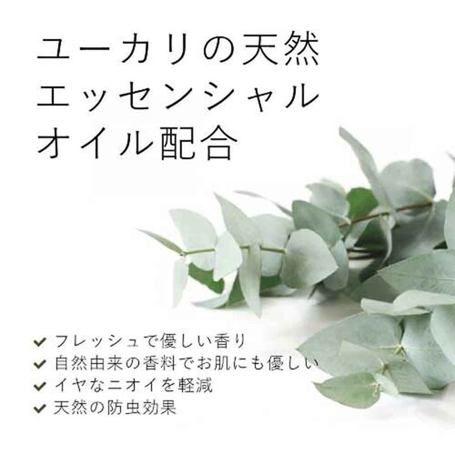 �G�R�X�g�A �G�R�X�g�A �����h���[���L�b�h 500mL 1�� ���[�J��_2