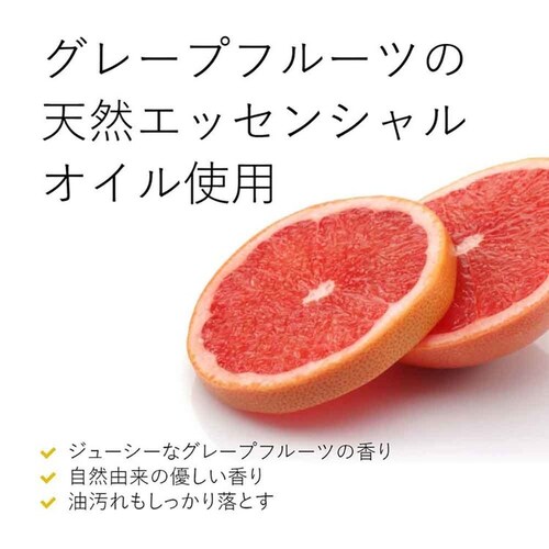 エコストア エコストア ディッシュウォッシュ ポンプ 350mL 1個 グレープフルーツ_1