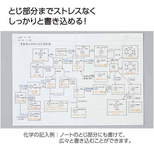 キャンパス キャンパスフラットノート 3P ノ-FL3CATX3 A罫ドット_7
