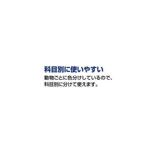 キャンパス キャンパス用途別 5ミリ10ミリ アニマル4P ノ-30AS10-5X4_2
