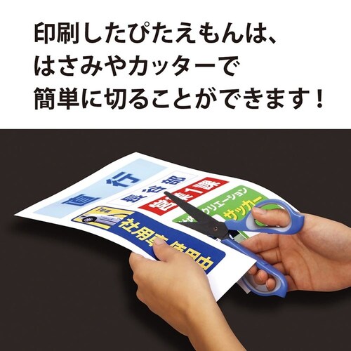 ぴたえもんA4(5枚入り) MSP-02-A4-1_3