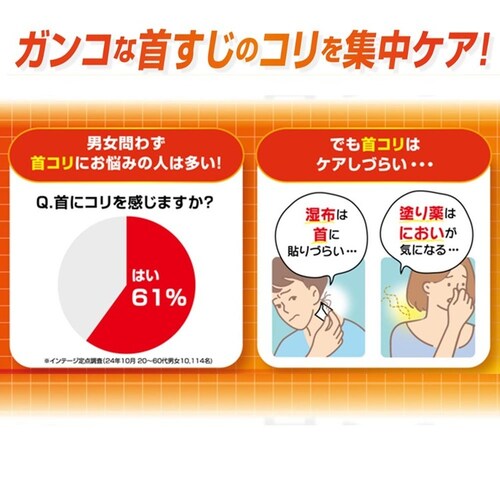 ピップエレキバン ピップエレキバンネックバンド_2