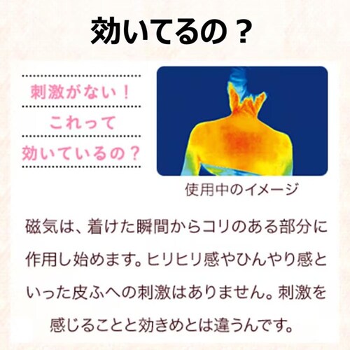 ピップエレキバン マグネEX50_3