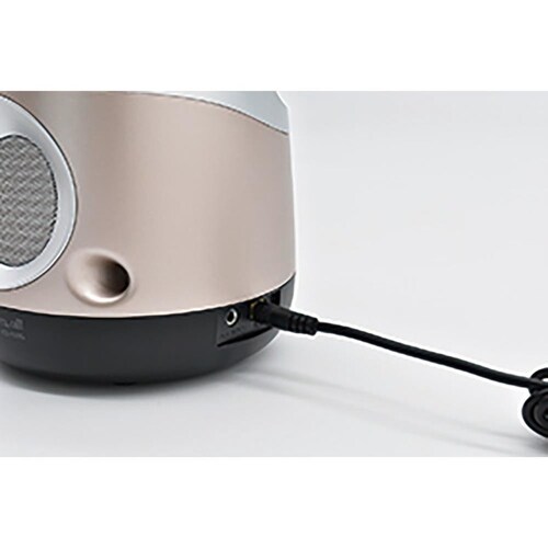 MK ���C�����X�X�s�[�J�[�V�X�e�� �����Ƃ���III CS-150G_5