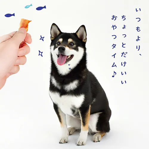 SANRIKU MIRAI サメ皮ジャーキー150g_1
