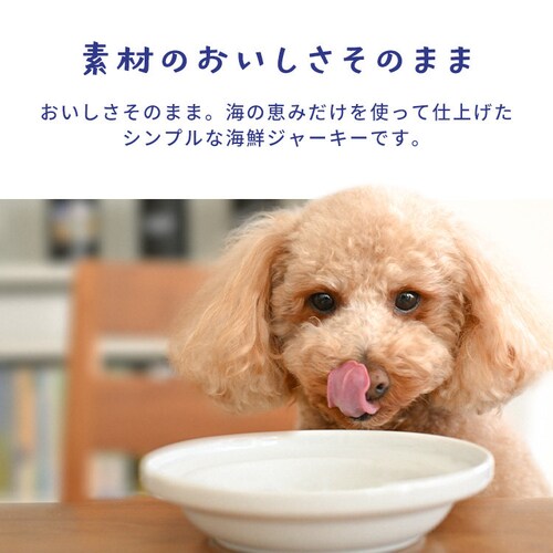 SANRIKU MIRAI サメ皮ジャーキー150g_4