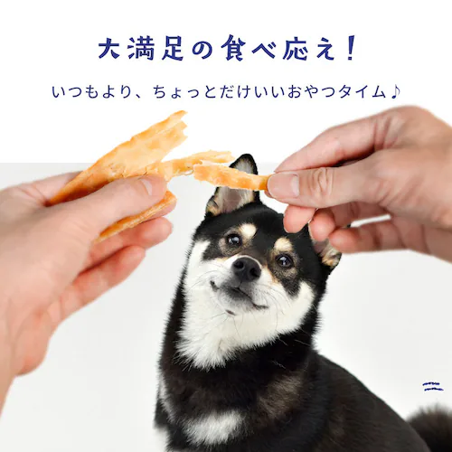 SANRIKU MIRAI サメ皮ジャーキー150g_9