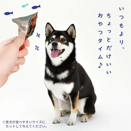 SANRIKU MIRAI サメ軟骨ジャーキー2本入_2