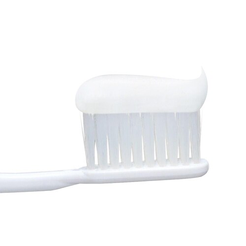 �y10�Z�b�g�z���C�I�� �V�X�e�}EX �^�e 130g 1105 ���f�B�J���N�[��_3