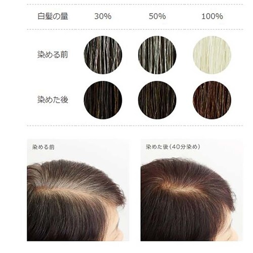 ナイアード ナイアード ヘナ+木藍(モクラン) 400g 茶系_2