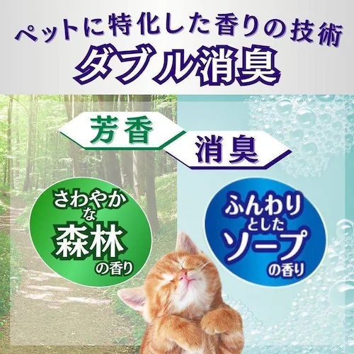 �L���y�� �y6�z�L���y�� �X�̍��_�u�� 7L_2
