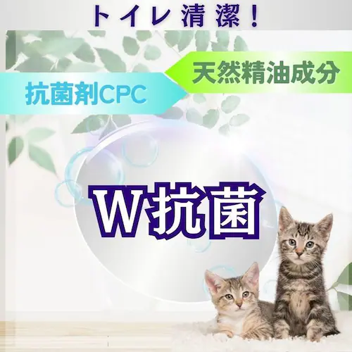 �L���y�� �y6�z�L���y�� �X�̍��_�u�� 7L_3
