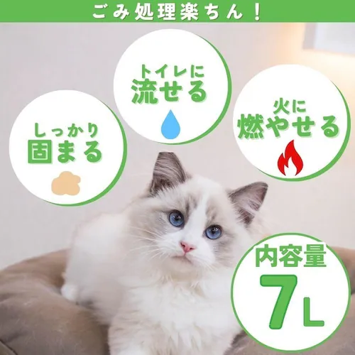 �L���y�� �y6�z�L���y�� �A�������� 7L_1