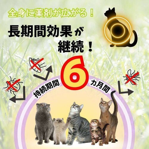 �A�[�X�E�y�b�g ��p�m�~�}�_�j�Ƃ聕��悯��֔L�p�s���N 1�{_3