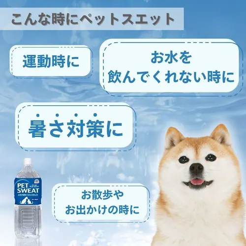 �y�b�g�X�G�b�g �y�b�g�X�G�b�g 2L_3