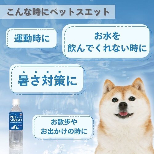 �y�b�g�X�G�b�g �y24�{�z�y�b�g�X�G�b�g 500mL_1