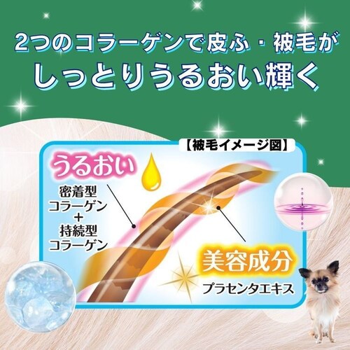 ハッピーペット シャンプータオル 小型犬用 25枚_1