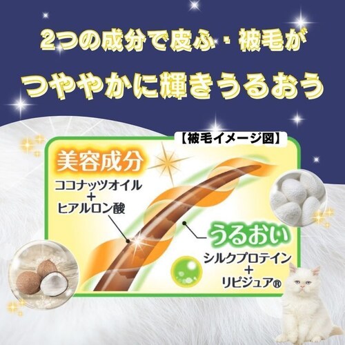 �n�b�s�[�y�b�g �{�f�B�[�^�I�� �L�p 25��_1
