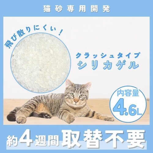 �W���C�y�b�g �y6�z�V���J�T���h�N���b�V�� 4.6L_1